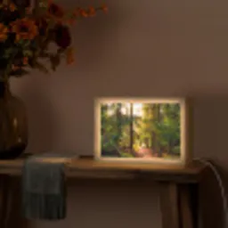 Bos - Pad - Bomen - Groen - Zon - Natuur Light Box met kabel (Tafellamp) klein -sfeer4