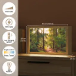 Bos - Pad - Bomen - Groen - Zon - Natuur Light Box met kabel (Tafellamp) klein -USP_EN