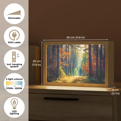 Bos - Zon - Natuur - Herfst Light Box met kabel (Tafellamp) klein -USP_EN