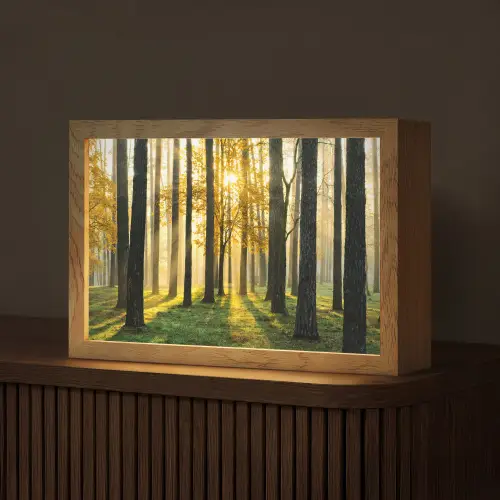 Bos - Zon - Bomen - Gras - Landschap - Natuur Light Box met kabel (Tafellamp) klein -z3d_website
