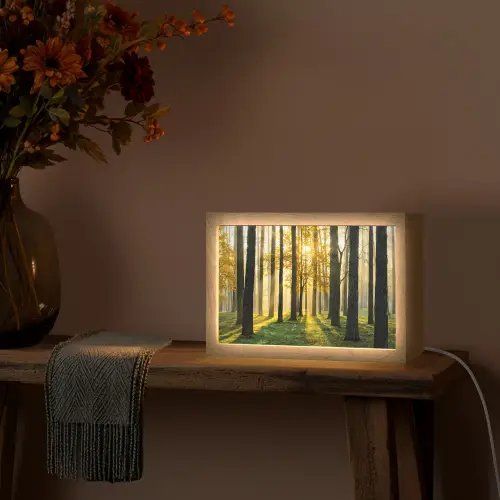 Bos - Zon - Bomen - Gras - Landschap - Natuur Light Box met kabel (Tafellamp) klein -sfeer4