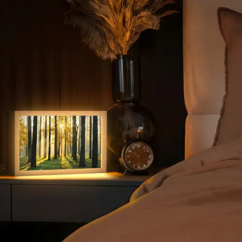 Bos - Zon - Bomen - Gras - Landschap - Natuur Light Box met kabel (Tafellamp) klein -sfeer1