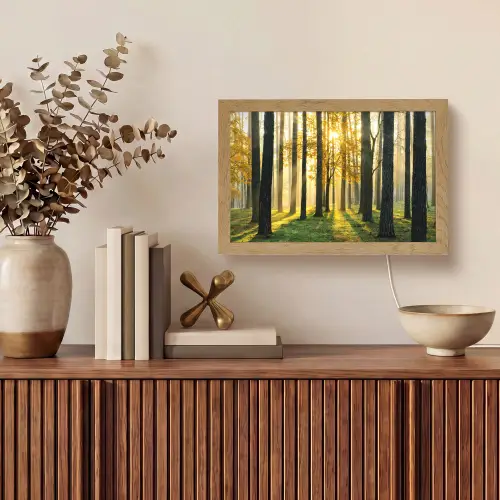 Bos - Zon - Bomen - Gras - Landschap - Natuur Light Box met kabel (Tafellamp) klein -sfeer2