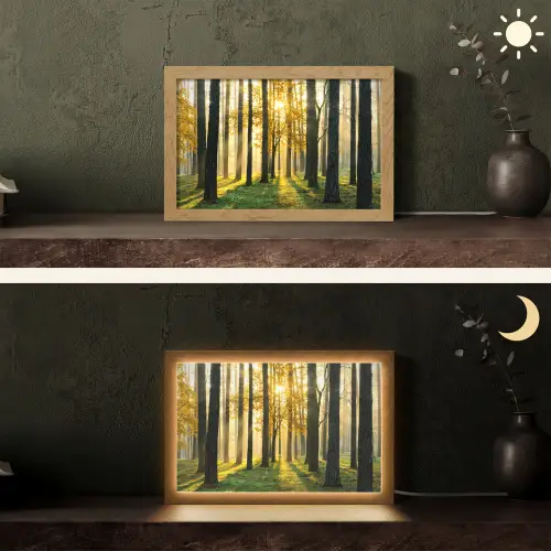 Bos - Zon - Bomen - Gras - Landschap - Natuur Light Box met kabel (Tafellamp) klein -sfeer3