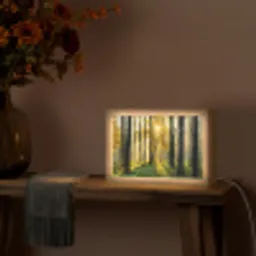 Bos - Zon - Bomen - Gras - Landschap  - Natuur Light Box met kabel (Tafellamp) klein -sfeer4