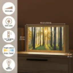 Bos - Zon - Bomen - Gras - Landschap  - Natuur Light Box met kabel (Tafellamp) klein -USP_EN