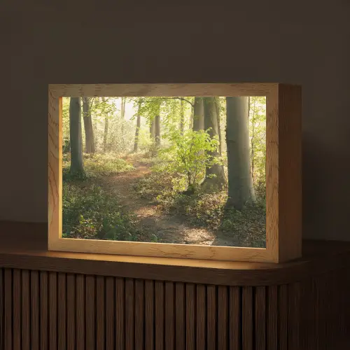 Bos - Bomen - Pad - Zon - Planten - Bladeren - Natuur Light Box met kabel (Tafellamp) klein -z3d_website