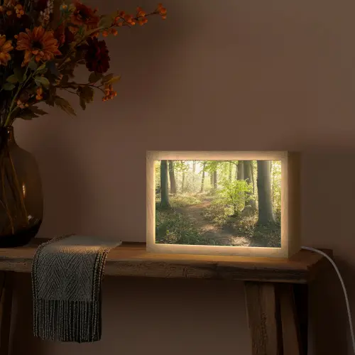 Bos - Bomen - Pad - Zon - Planten - Bladeren - Natuur Light Box met kabel (Tafellamp) klein -sfeer4