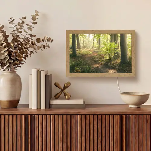 Bos - Bomen - Pad - Zon - Planten - Bladeren - Natuur Light Box met kabel (Tafellamp) klein -sfeer2
