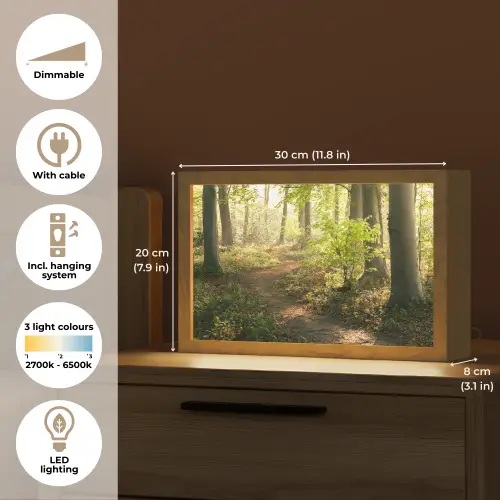Bos - Bomen - Pad - Zon - Planten - Bladeren - Natuur Light Box met kabel (Tafellamp) klein -USP_EN