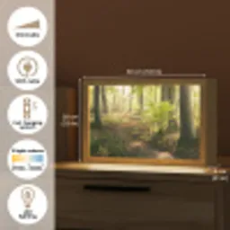 Bos - Bomen - Pad - Zon - Planten - Bladeren - Natuur Light Box met kabel (Tafellamp) klein -USP_EN