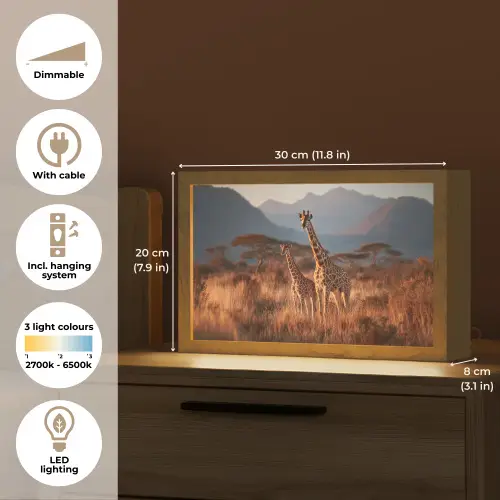 Giraffen - Hoog gras - Acaciabomen Light Box met kabel (Tafellamp) klein -USP_EN