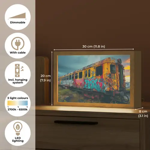 Graffiti - Verlaten trein - Street art Light Box met kabel (Tafellamp) klein -USP_EN