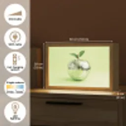 Groen - Disco - Decoratie - Appel Light Box met kabel (Tafellamp) klein -USP_EN