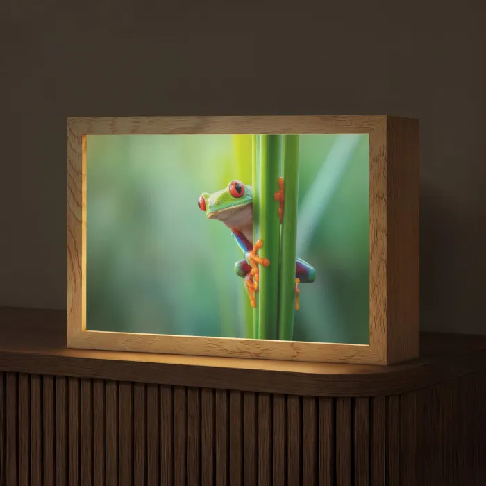 Groene kikker - Nieuwsgierig - Gras Light Box met kabel (Tafellamp) klein -z3d_website