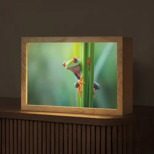 Groene kikker - Nieuwsgierig - Gras Light Box met kabel (Tafellamp) klein -z3d_website