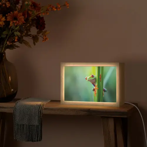 Groene kikker - Nieuwsgierig - Gras Light Box met kabel (Tafellamp) klein -sfeer4