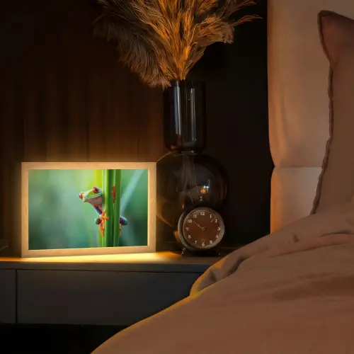 Groene kikker - Nieuwsgierig - Gras Light Box met kabel (Tafellamp) klein -sfeer1