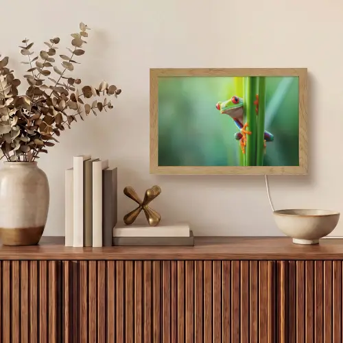 Groene kikker - Nieuwsgierig - Gras Light Box met kabel (Tafellamp) klein -sfeer2
