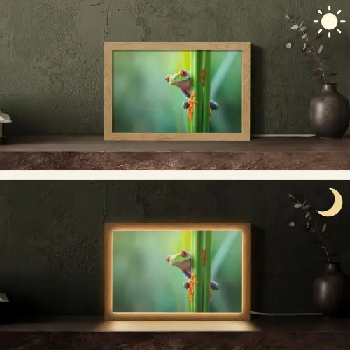 Groene kikker - Nieuwsgierig - Gras Light Box met kabel (Tafellamp) klein -sfeer3