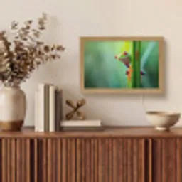 Groene kikker - Nieuwsgierig - Gras Light Box met kabel (Tafellamp) klein -sfeer2