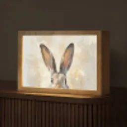 Haas - Oren - Bruin Light Box met kabel (Tafellamp) klein -z3d_website