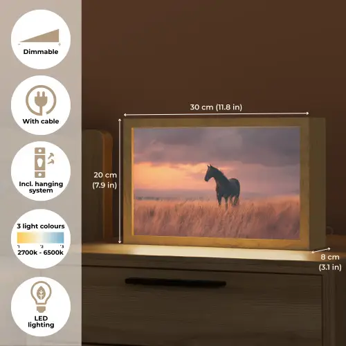 Paard - Wolken - Open veld Light Box met kabel (Tafellamp) klein -USP_EN