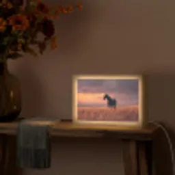 Paard - Wolken - Open veld Light Box met kabel (Tafellamp) klein -sfeer4