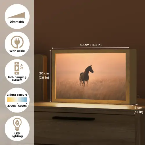 Paard - Grasveld - Zonsondergang Light Box met kabel (Tafellamp) klein -USP_EN