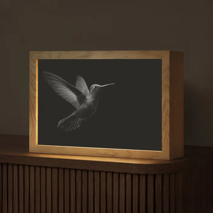 Kolibrie - Zwart - Dieren Light Box met kabel (Tafellamp) klein -z3d_website