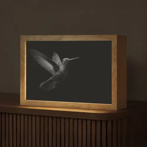 Kolibrie - Zwart - Dieren Light Box met kabel (Tafellamp) klein -z3d_website