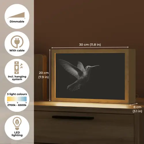 Kolibrie - Zwart - Dieren Light Box met kabel (Tafellamp) klein -USP_EN