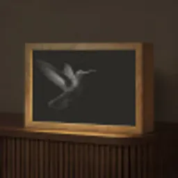 Kolibrie - Zwart - Dieren Light Box met kabel (Tafellamp) klein -z3d_website