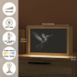 Kolibrie - Zwart - Dieren Light Box met kabel (Tafellamp) klein -USP_EN