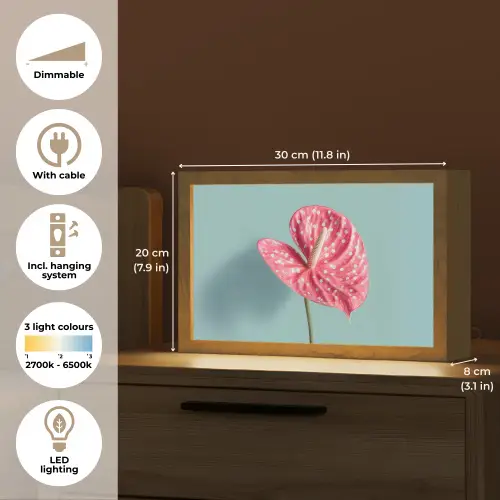 Blad - Anthurium - Stippen - Roze Light Box met kabel (Tafellamp) klein -USP_EN