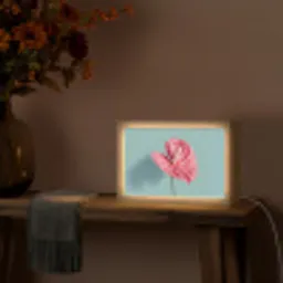 Blad - Anthurium - Stippen - Roze Light Box met kabel (Tafellamp) klein -sfeer4