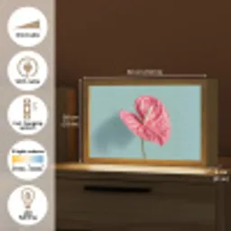 Blad - Anthurium - Stippen - Roze Light Box met kabel (Tafellamp) klein -USP_EN