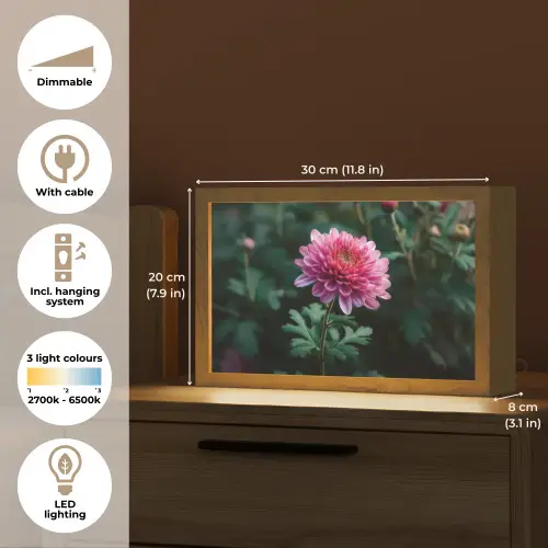 Blad - Chrysant - Roze - Schaduw Light Box met kabel (Tafellamp) klein -USP_EN