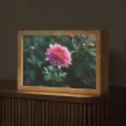 Blad - Chrysant - Roze - Schaduw Light Box met kabel (Tafellamp) klein -z3d_website