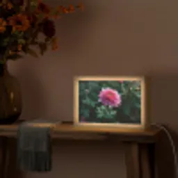 Blad - Chrysant - Roze - Schaduw Light Box met kabel (Tafellamp) klein -sfeer4