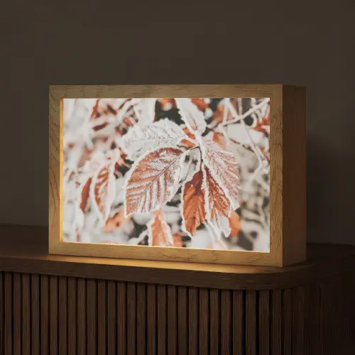 Bladeren - IJs - Winter - Natuur Light Box met kabel (Tafellamp) klein -z3d_website