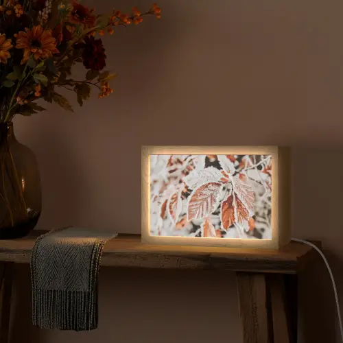 Bladeren - IJs - Winter - Natuur Light Box met kabel (Tafellamp) klein -sfeer4