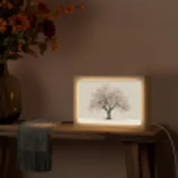 Lichtboom - Winter - Kerst - Meerkleurig Light Box met kabel (Tafellamp) klein -sfeer4