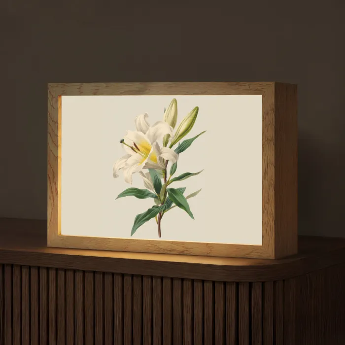 Lelie - Elegant - Botanisch - Beige Light Box met kabel (Tafellamp) klein -z3d_website