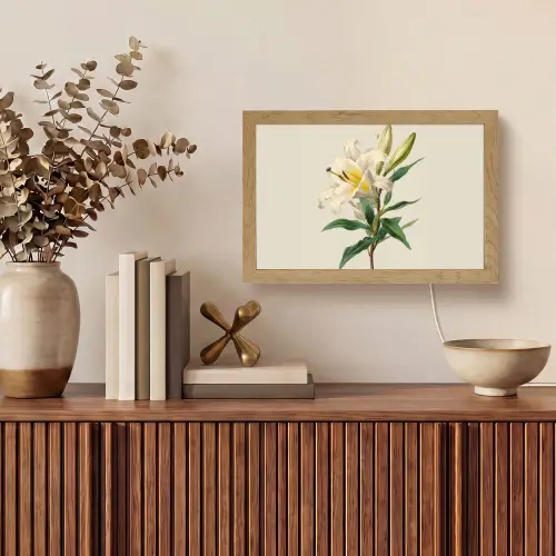 Lelie - Elegant - Botanisch - Beige Light Box met kabel (Tafellamp) klein -sfeer2