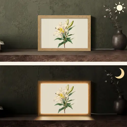 Lelie - Elegant - Botanisch - Beige Light Box met kabel (Tafellamp) klein -sfeer3
