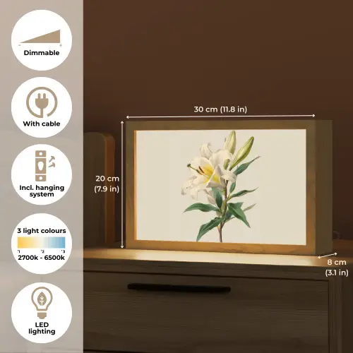Lelie - Elegant - Botanisch - Beige Light Box met kabel (Tafellamp) klein -USP_EN