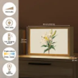 Lelie - Elegant - Botanisch - Beige Light Box met kabel (Tafellamp) klein -USP_EN