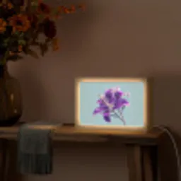 Lelie - Bloem - Paars - Stippen Light Box met kabel (Tafellamp) klein -sfeer4
