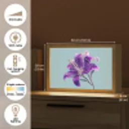Lelie - Bloem - Paars - Stippen Light Box met kabel (Tafellamp) klein -USP_EN